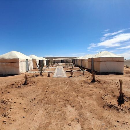 Desert Camel Trek مرزوكة المظهر الخارجي الصورة