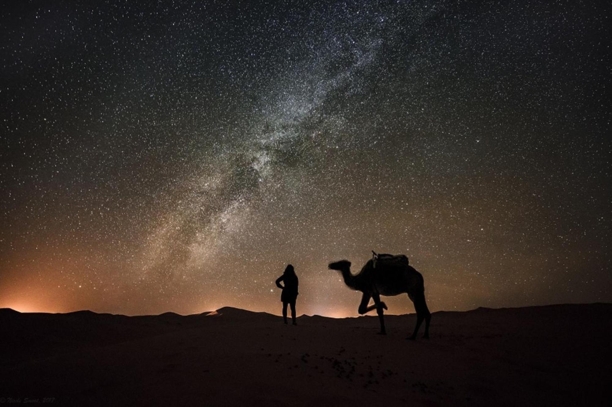 Desert Camel Trek مرزوكة المظهر الخارجي الصورة